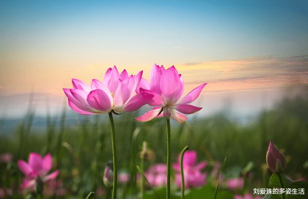 |情商高的人给领导打电话，都会注意这3个细节，难怪领导喜欢重用