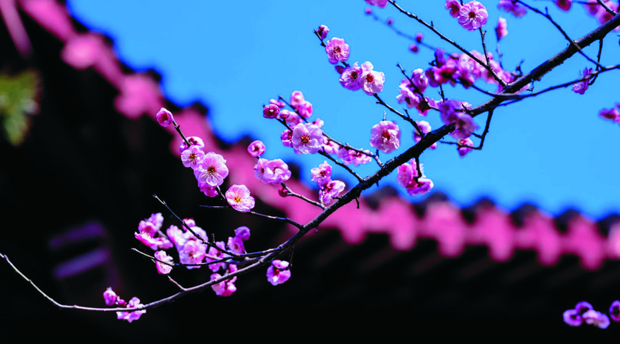 生肖|9月财神显灵,财运亨通,天天忙着数钱的生肖