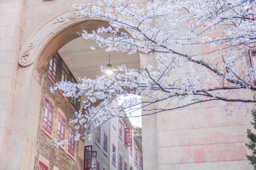 【厦门大学】聊聊心中国内最美的十所大学