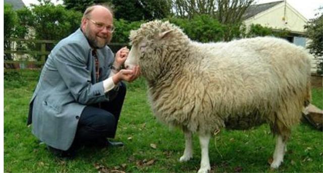 科学家|24年前就造出克隆羊,为何不克隆人?看看克隆羊的下场,多恐怖