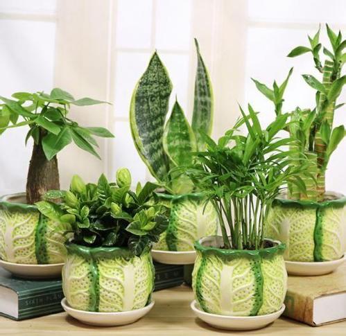 专家证实：这些除醛方法均为谣传，别再上当受骗了！