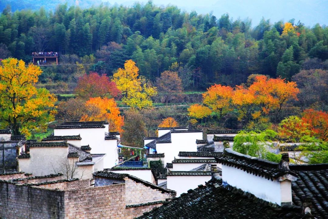 塔川|不愧为全国四大秋色之一 真的宛若童话世界