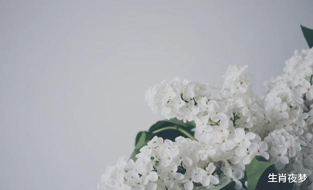 旧爱|9月，旧爱深情，心软挽留，3生肖再续前缘，命中注定，旧情复燃