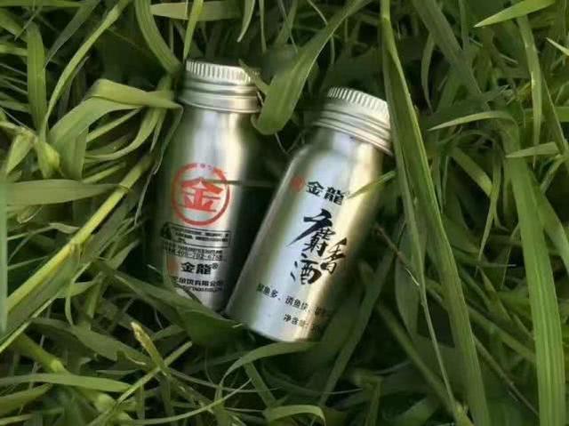 「」【多年钓鱼心得】 小药篇