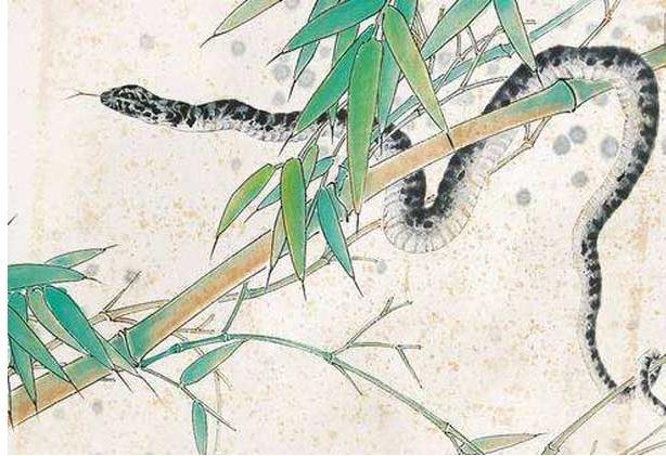 [生肖]从来不会自暴自弃的三大生肖，坚持了就会努力到最后