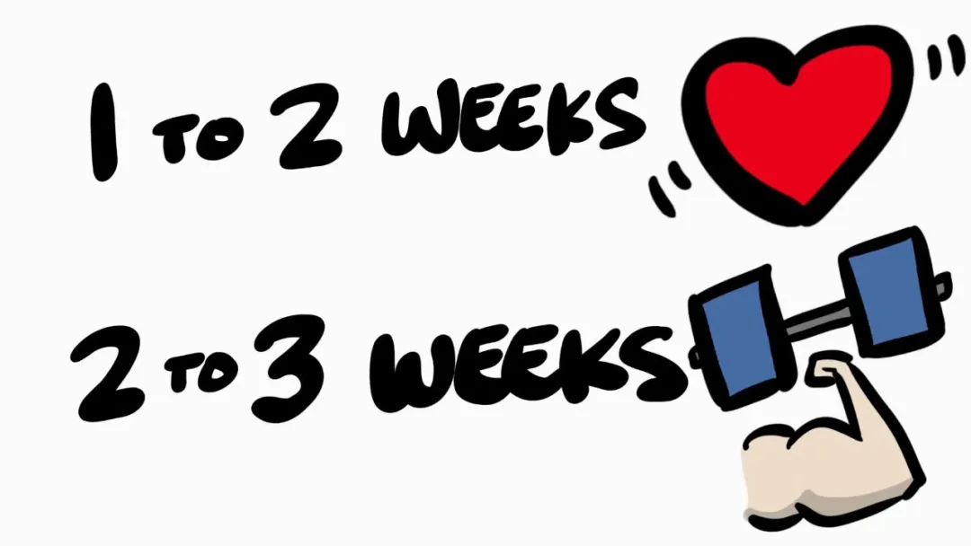 「健身」停止锻炼后，以前的效果会发生什么变化？