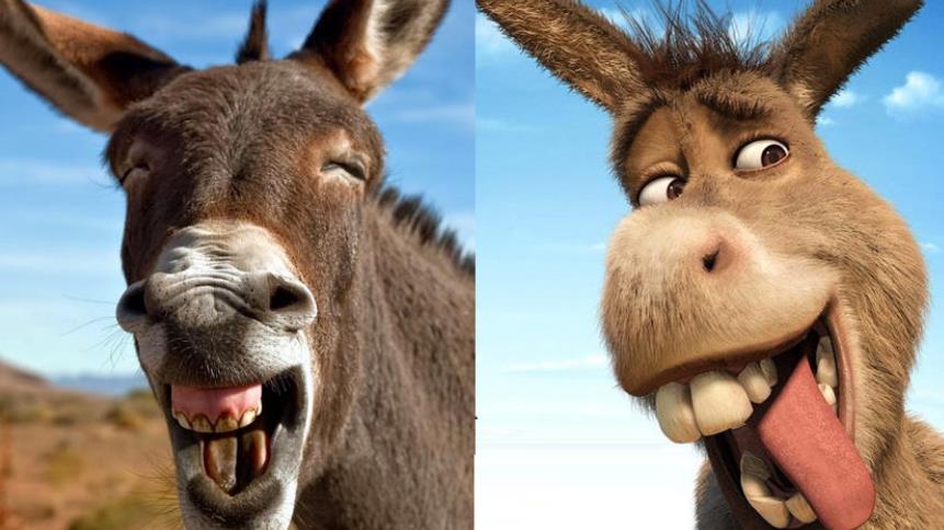 [隔离]为何所有的生物，都和人类存在生殖隔离？人类真是天选之子吗？