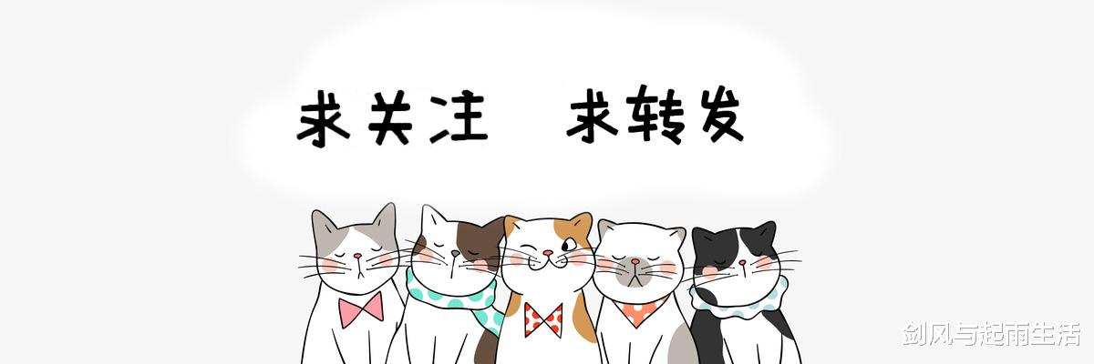 孙妍在|女孩千万不要倒追！体操一姐示爱宁泽涛，被拒后身材走样似大妈