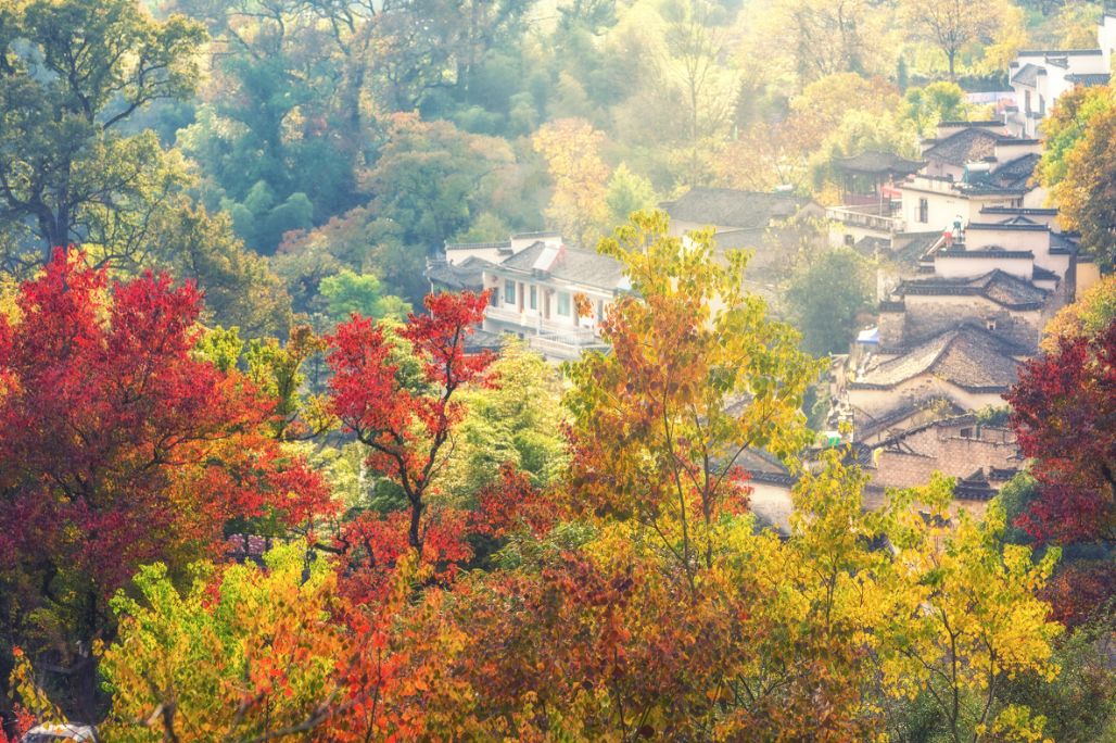 塔川|不愧为全国四大秋色之一 真的宛若童话世界