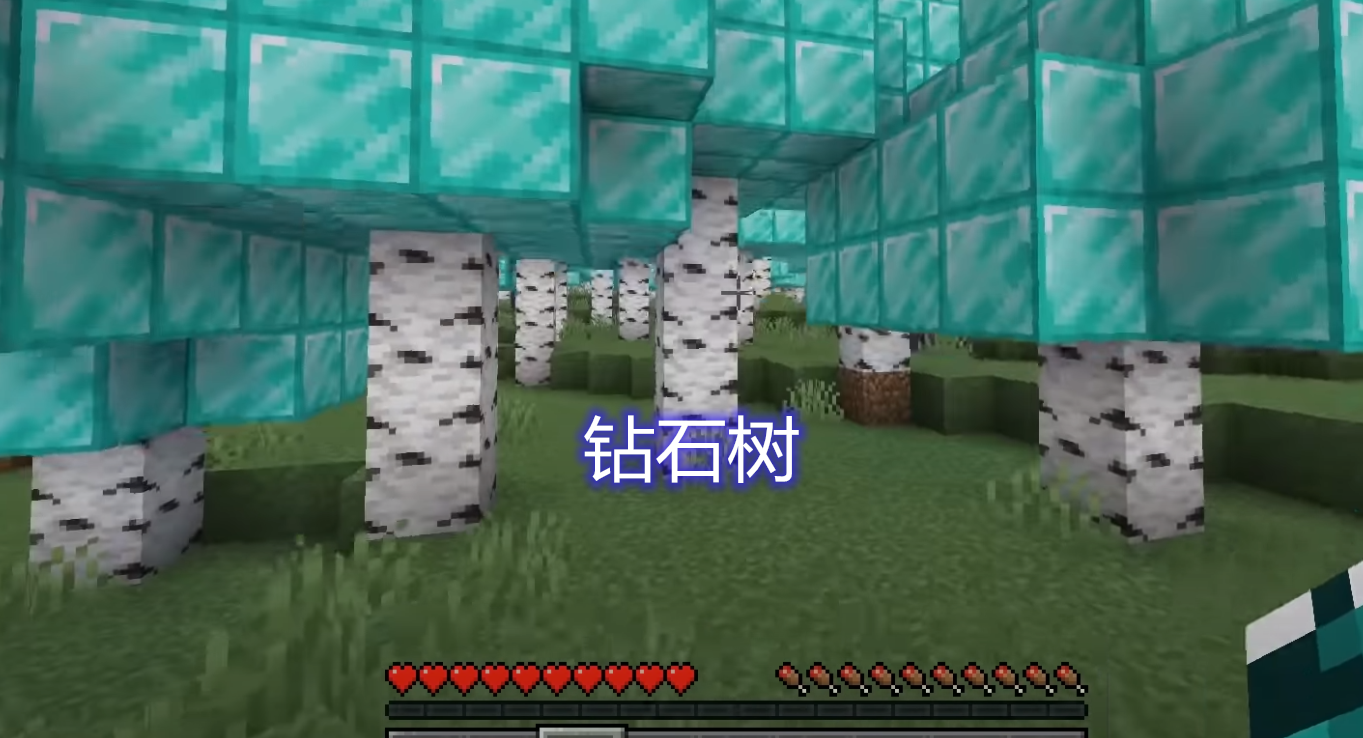 #我的世界#我的世界：苦力怕也有害怕的动物？看到猫就跑，流浪猫受玩家喜爱