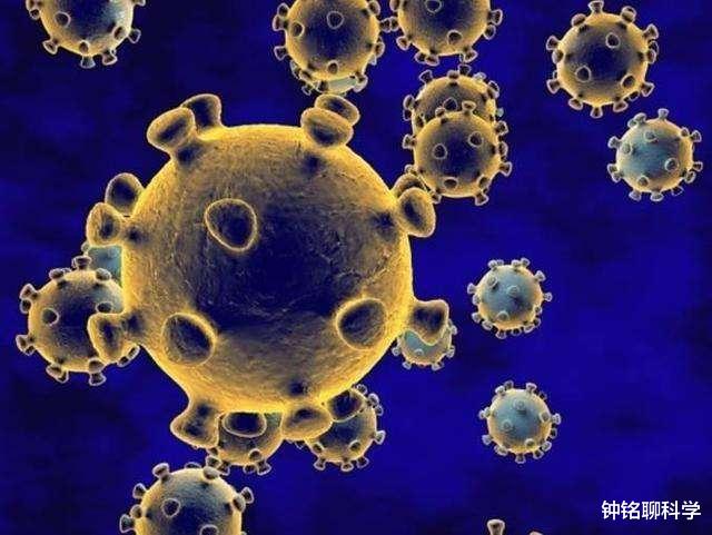 #狂犬病#新冠病毒会导致世界末日吗？人类还能活到明后年吗？