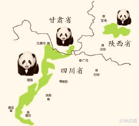|野生大熊猫有无可能自行迁徙到邻国，成为非中国独有物种？