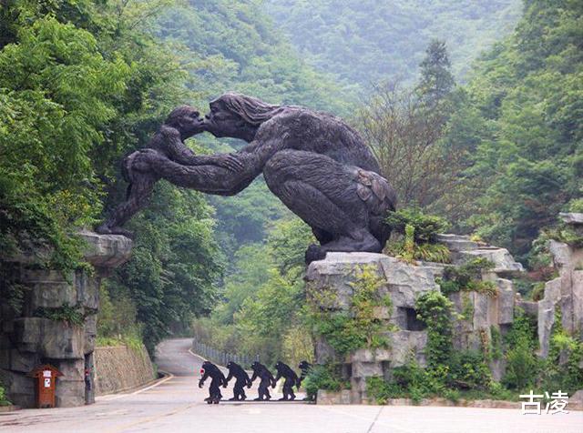 古凌|神农架到底有没有野人？七八十年代，中国3次考察验证其真实性