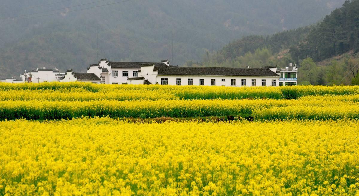 江西|江南有个省份恨铁不成钢，四周都是经济强省，自己却没什么存在感