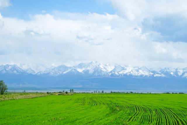 [靖西]6、7月旅行地推荐，过一个最爽的夏天！少有游人，太适合避暑了