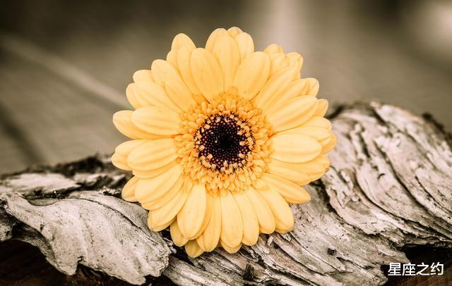 【双鱼座】从7月份开始，身经百战，脱胎换骨，元气满满的三大星座