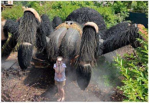 狮子▲如果螳螂体型和狮子一样大，战斗力大概如何。