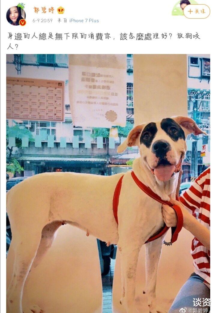 『vg战队』郭碧婷深夜再发文，称醒悟那天终会来，为何孕期负面情绪这么重？