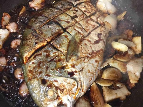 甲鱼|被误解最多的一种鱼，比甲鱼营养比鲫鱼美味，一斤9元但很少人买