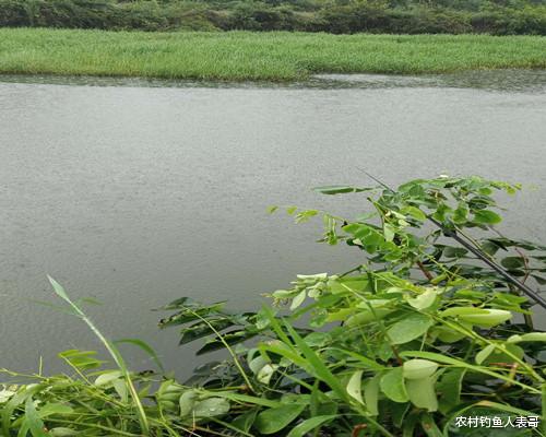 |为什么你钓浮不上鱼吗？老钓友全面解析钓浮的三大技巧