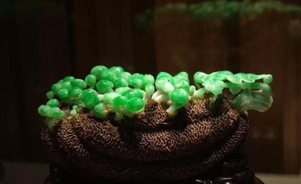 【翡翠】藏在故宫地下室的奇珍异宝