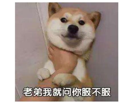 「任天堂」动物森友会才上线就爆了！打破任天堂的纪录，连对手都在玩？