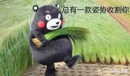 字节跳动|为啥字节跳动这些互联网公司喜欢放贷?