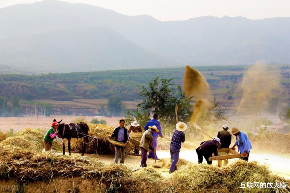 大米|粮食危机席卷全球，泰国大米价格飞涨！中国端紧饭碗的底气在哪