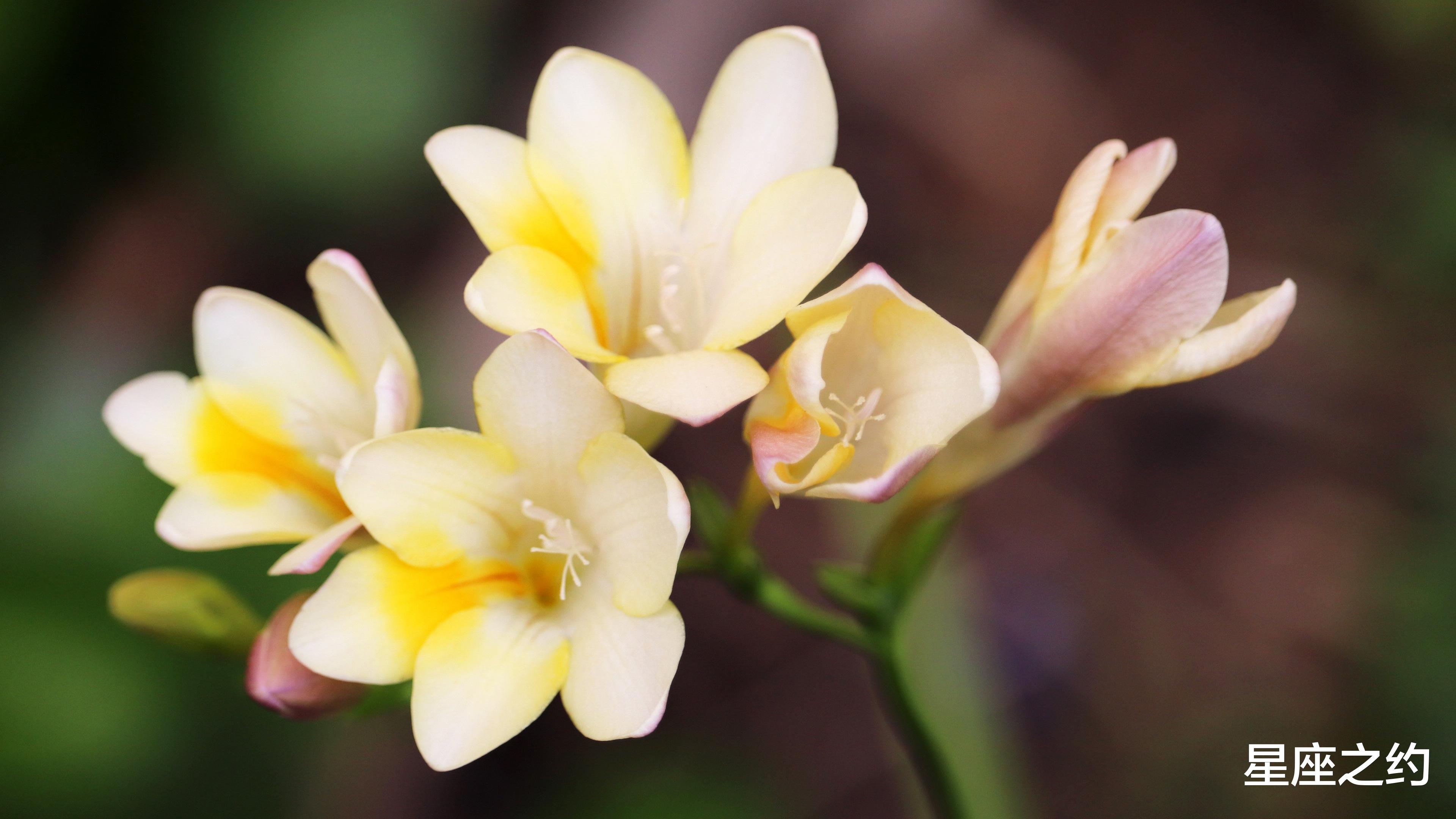 |从10月份开始，适可而止，拒绝挽留，黯然伤神的三大星座