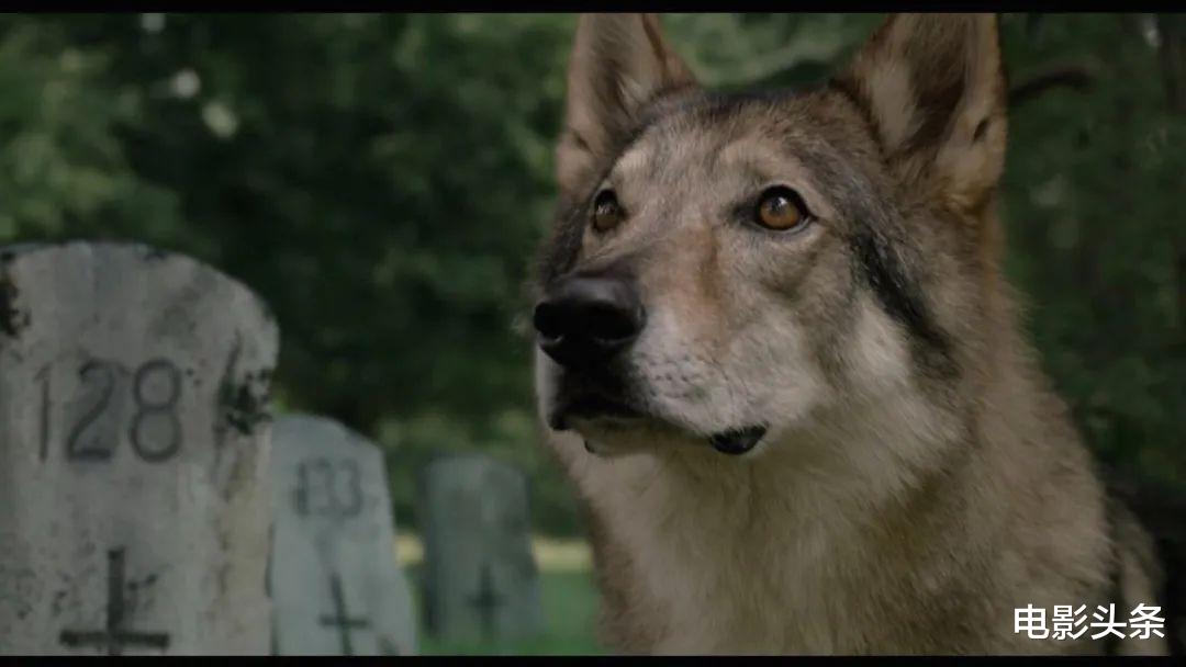 漫威|今年唯一一部漫威电影，扑了？