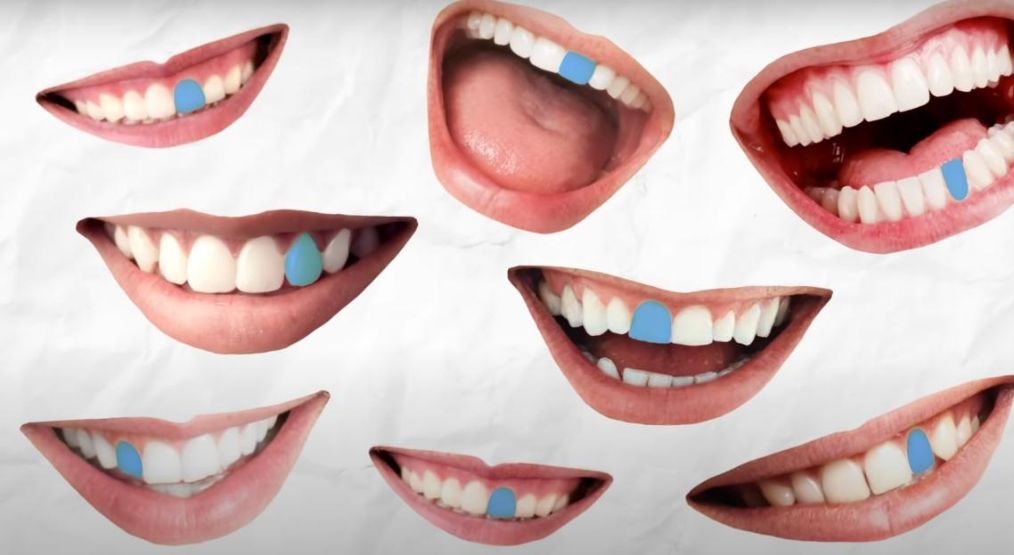 「世界真奇妙」科学冷知识 看过才知道世界真奇妙 那些神奇的秘密（第十五期）