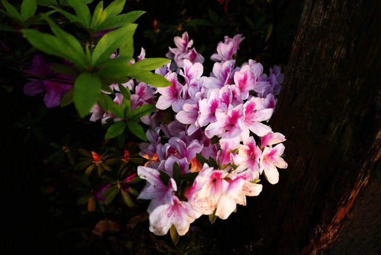 天蝎座|9月份开始，桃花运势不可挡，将迎来属于自己的真爱的4大星座