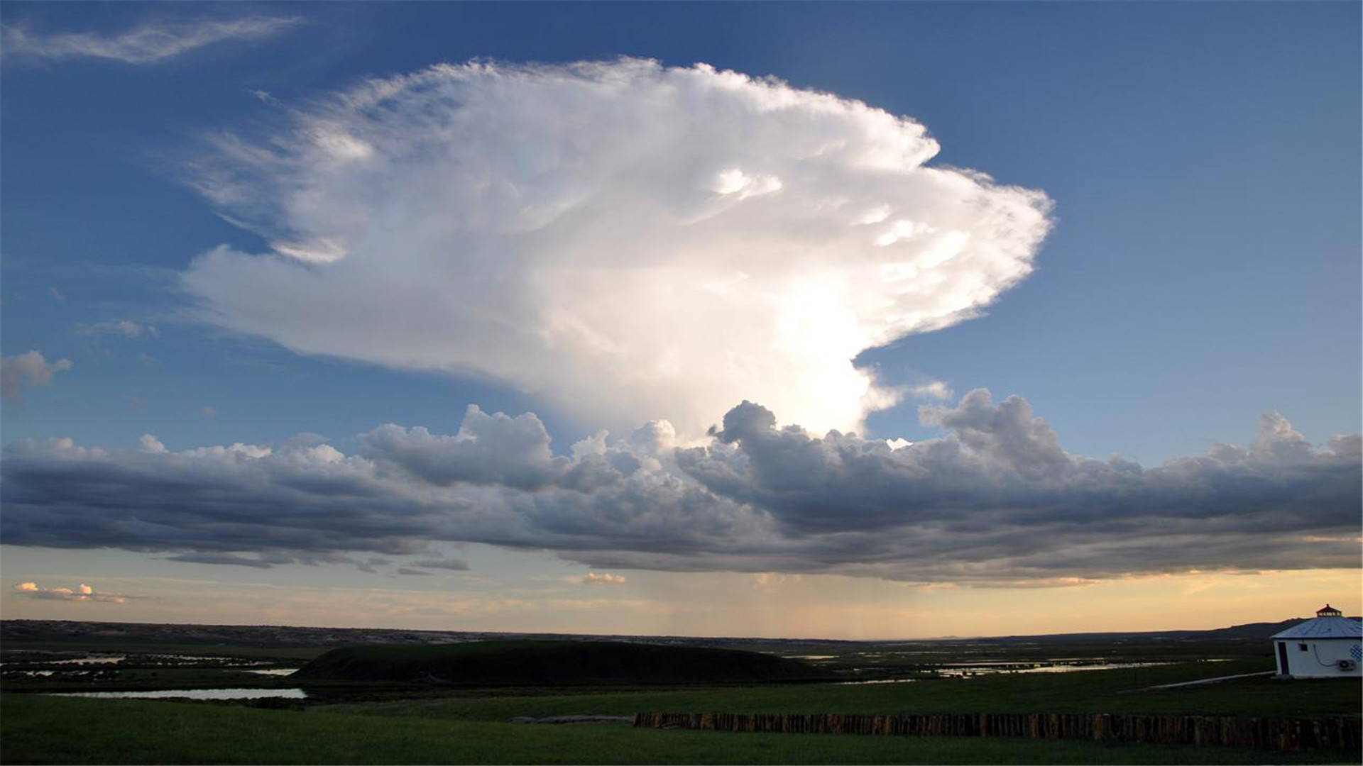 生肖|下周，恋爱稳重，踏实负责，爱情初始，终于责任，一定要好好把握