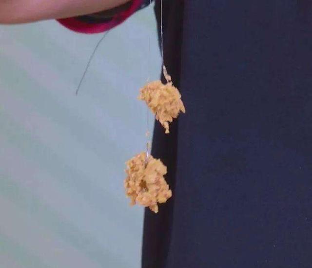 饵料|为啥旁边钓友鱼情好，而你钓不到鱼？难道饵料用错了？