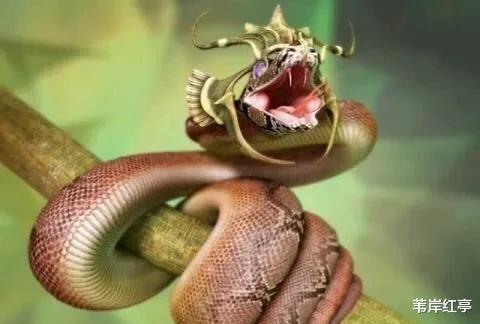 『蜜獾』世界上最“记仇”的5种动物，“平头哥”只是其中一种， 其他4种常见