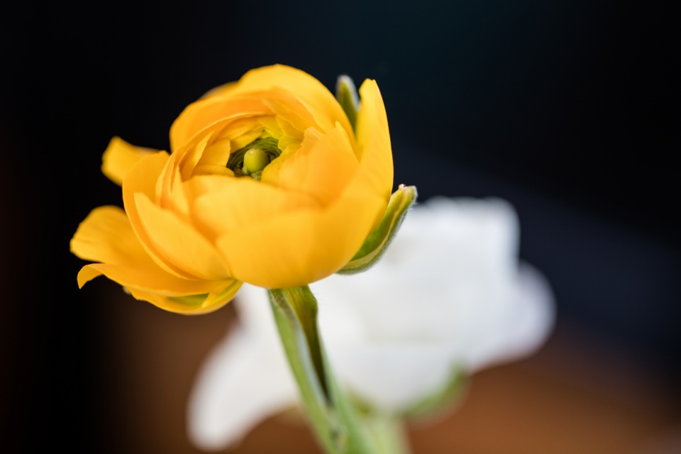 十二星座@十二星座各自从事什么职业会走向成功？天蝎座很容易挣很多钱