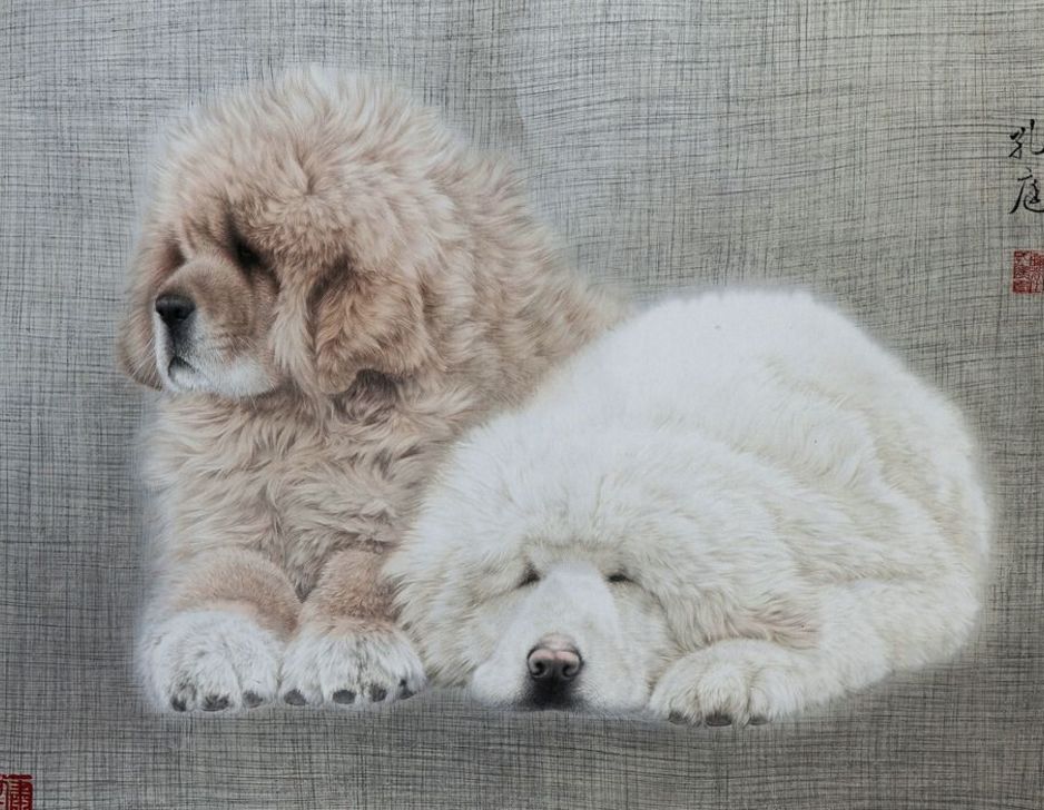 #生肖#生肖狗最近天降大喜，横财赚三车，从此大吉大利