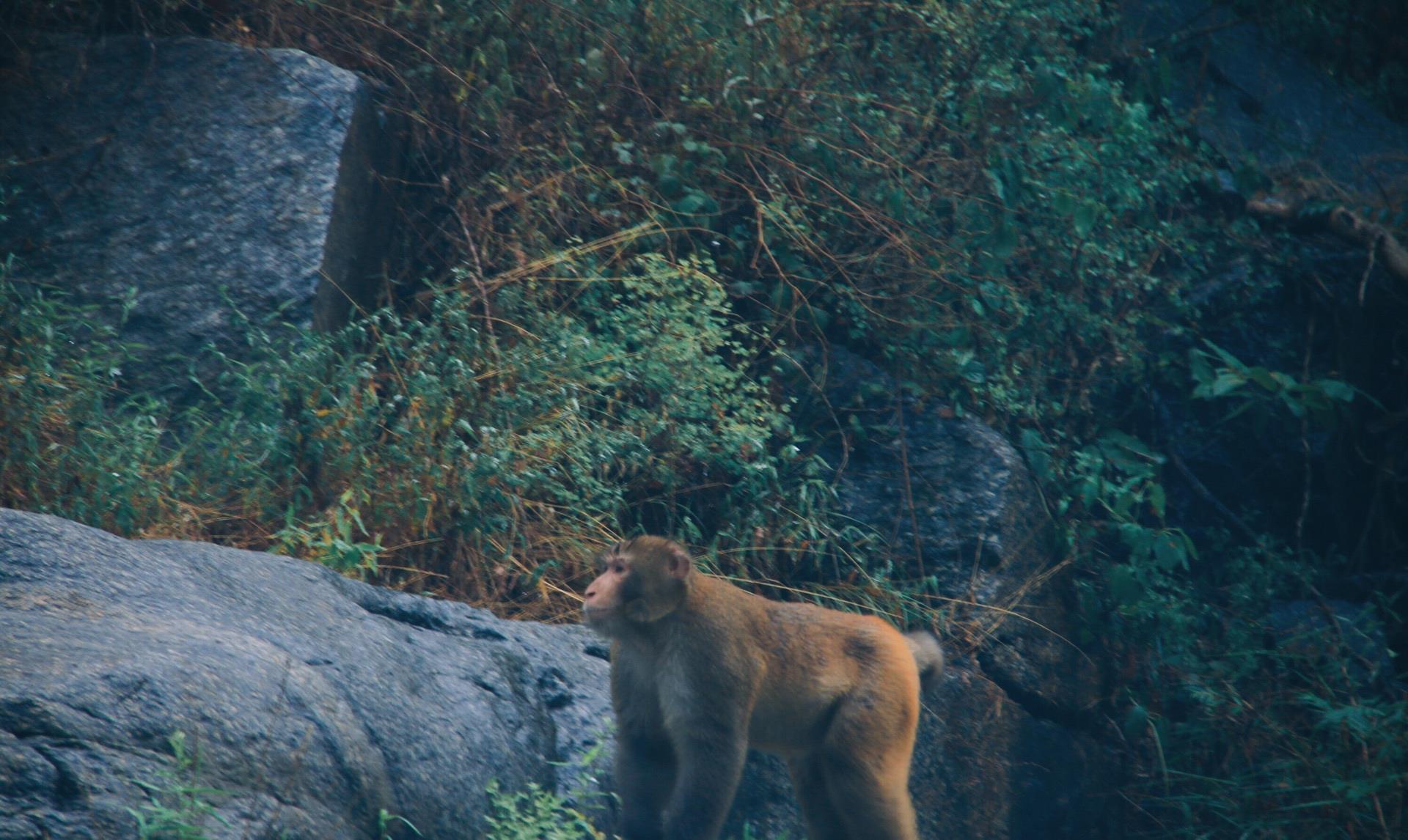 八里沟：中国被“埋没”的5A景区，景色堪比黄山，却因名字太土屡遭嫌弃