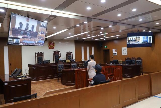 民警▲杭州一女白领买了只乌龟当宠物，获刑6个月