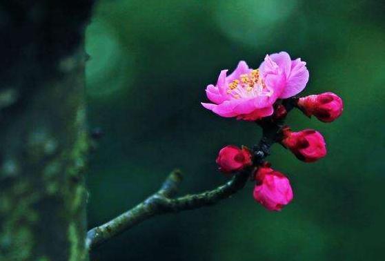 [天蝎座]6月份，桃花依旧不断，在旧爱和新欢之间犹豫不决，没担当的星座