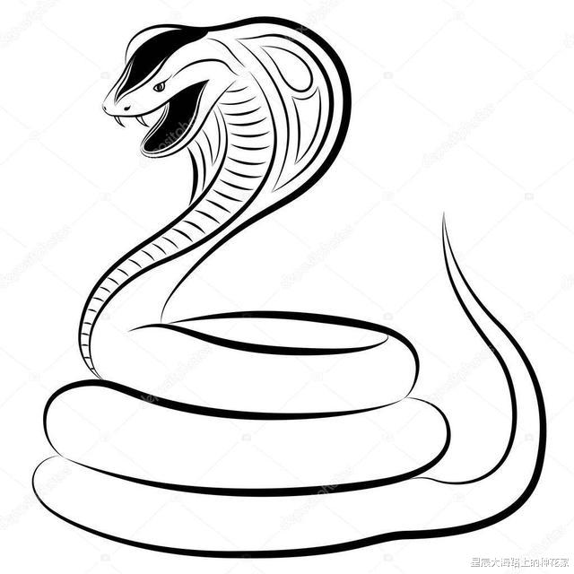 「银环蛇」剧毒银环蛇和眼镜蛇谁更毒？和眼镜王蛇相比呢？