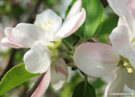 生肖|8月，4属相被幸福盯上，吉星进门，喜事接二连三，添福添财