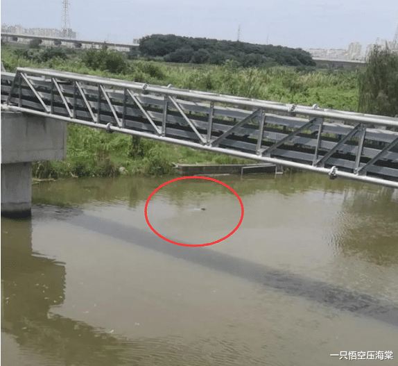 江苏省|江苏河道内发现一具男尸，警方介入