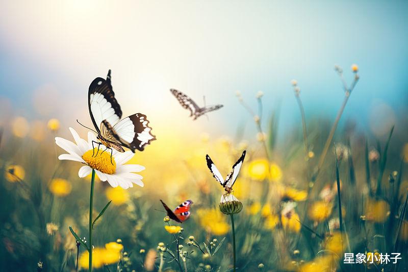 天蝎座|10月末11月初, 不忘初心, 念念不忘, 4星座旧情复燃, 再次牵手