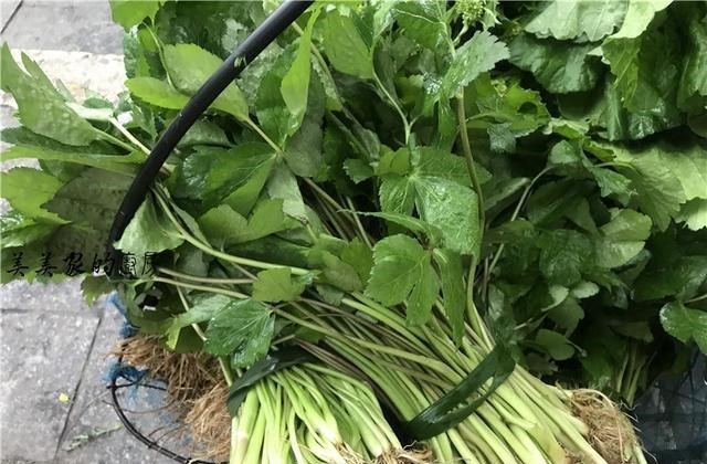 【香椿】中国美食“最原始”城市，外地人去菜市场几乎崩溃：一个都不认识