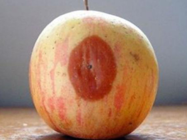 『癌细胞』藏在身边的4种“致癌物”，尽量少吃，贪吃或会滋养癌细胞