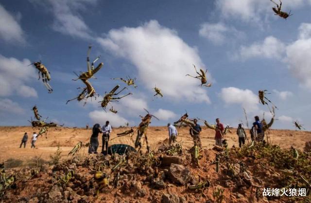 吴亦凡|把中企得罪了个遍后，莫迪又开始向美国求助，呼吁大力向印度投资