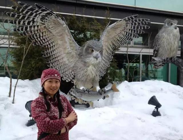 『』原来神雕侠侣中的“神雕”真实存在,罕见稀有体型庞大,全球还不到1000只