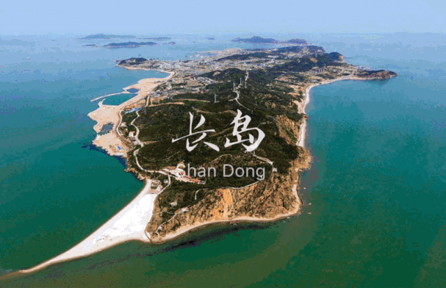 鲸鱼@鲸鱼头顶喷的居然不是海水，而是“毒气”！