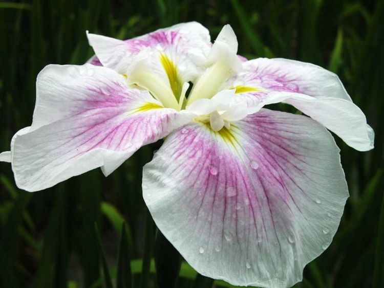 天蝎座|九月开始，大吉大利，有钱花还能找到真爱，添丁添子的4大生肖